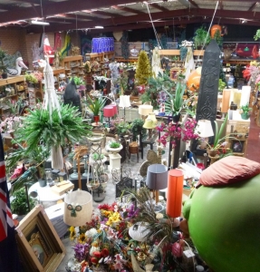 Warehouse full of plants and props